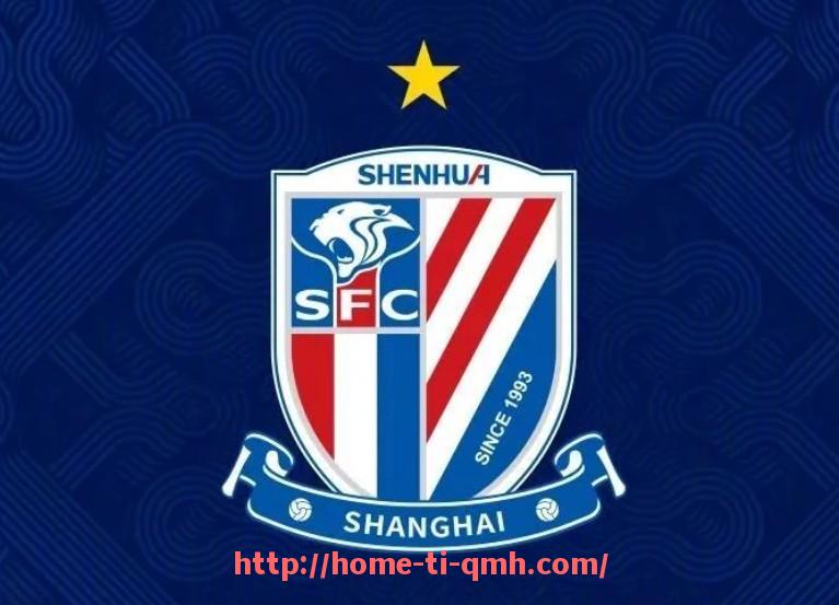 球盟会官网-法甲外援适应性研究及对球队整体战术的影响